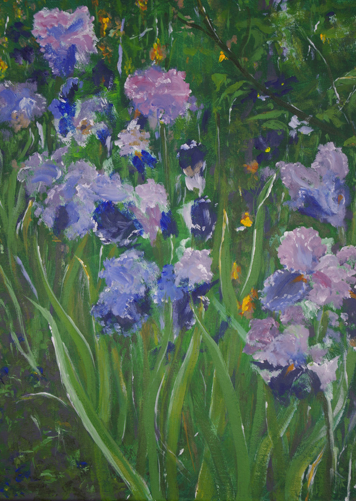 Irises